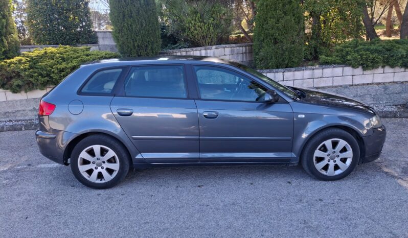 Audi A3 1.9 TDI 105 Ambiente 5p lleno