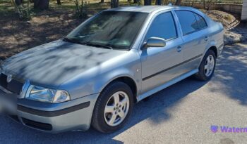 Skoda Octavia 1.9 TDI 105 CV lleno